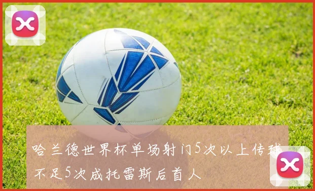 哈兰德世界杯单场射门5次以上传球不足5次成托雷斯后首人